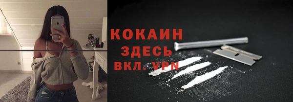 PSILOCYBIN Елабуга