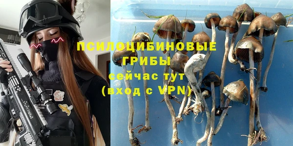 синтетический гашиш Елизово