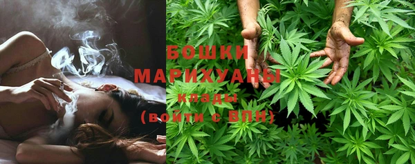 PSILOCYBIN Елабуга