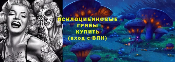 PSILOCYBIN Елабуга