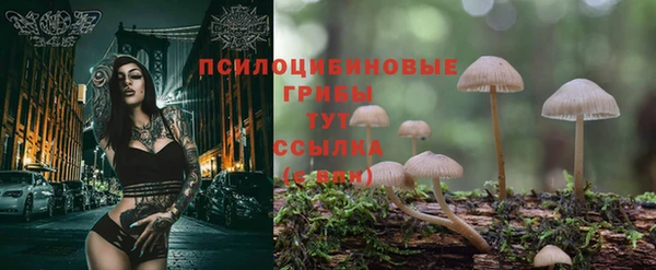 мескалин Ельня