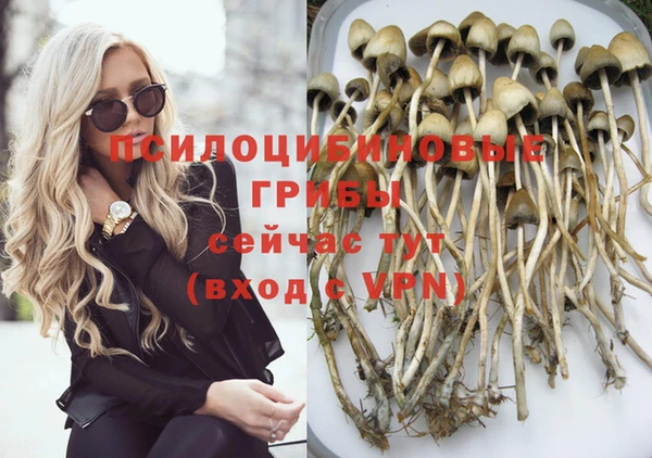 синтетический гашиш Елизово