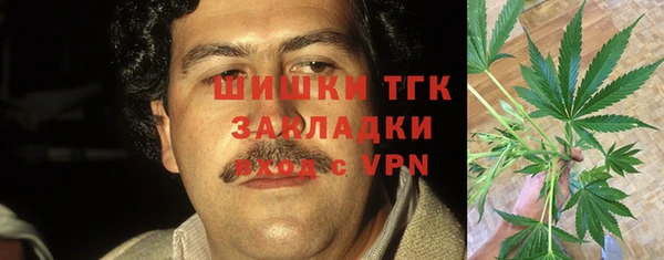 мескалин Ельня
