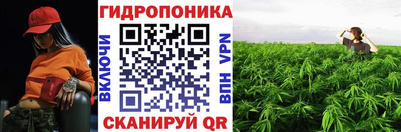 Каннабис планчик  Озёрск 